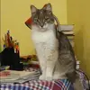 Отзыв от Наиля Спиридонова